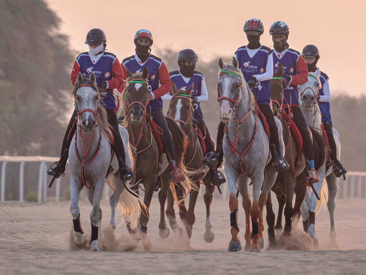 سباقات كأس صاحب السمو رئيس الدولة للقدرة تنطلق غدا بسباق "الإسطبلات الخاصة"