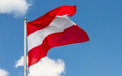 الصورة: النمسا تنضم إلى الجهود الدولية لدعم تنفيذ خطة السلام في غزة