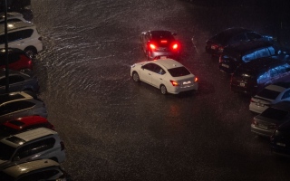 الصورة: شرطة الشارقة تتيح خدمة الحصول على شهادة تضرر المركبات بسبب الأحوال الجوية