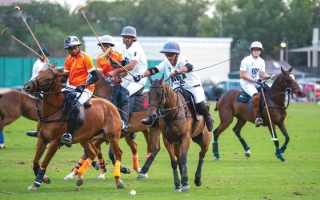 الصورة: &laquo;نون&raquo; يتحدى&nbsp;&laquo;بهنسالي&raquo; في احتفالية دوري الحبتور للبولو