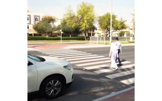 الصورة: توقف السائق المفاجئ أمام ممرات المشاة.. يكسر &laquo;عنصر التوقع&raquo;