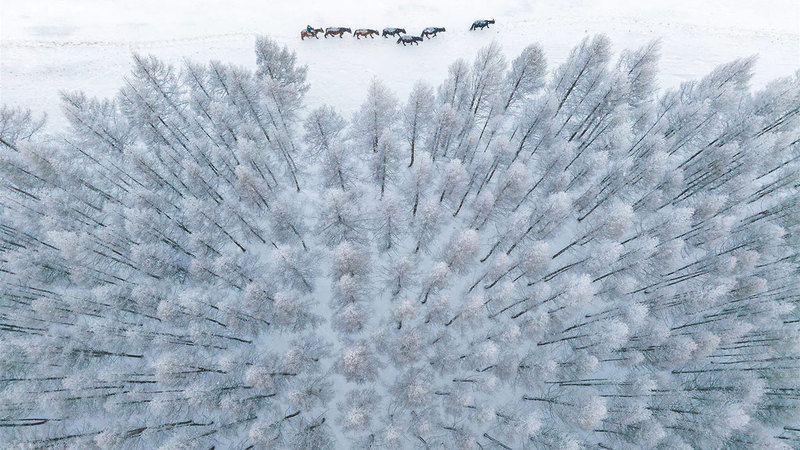 تشانغ بين &ndash; الصين