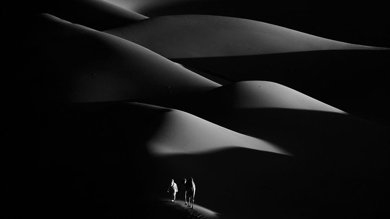 يوسف بن شكر الزعابي - الإمارات