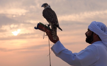 الصورة: تراث الإمارات يتألق في &laquo;الياسات&raquo;.. براً وبحراً
