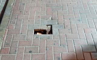 الصورة: &laquo;إنترلوك&raquo;