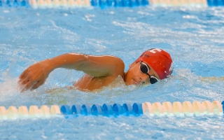 الصورة: الفجيرة يتصدر بطولة الاتحاد لسباحة الناشئين والعمومي بـ 60 ميدالية