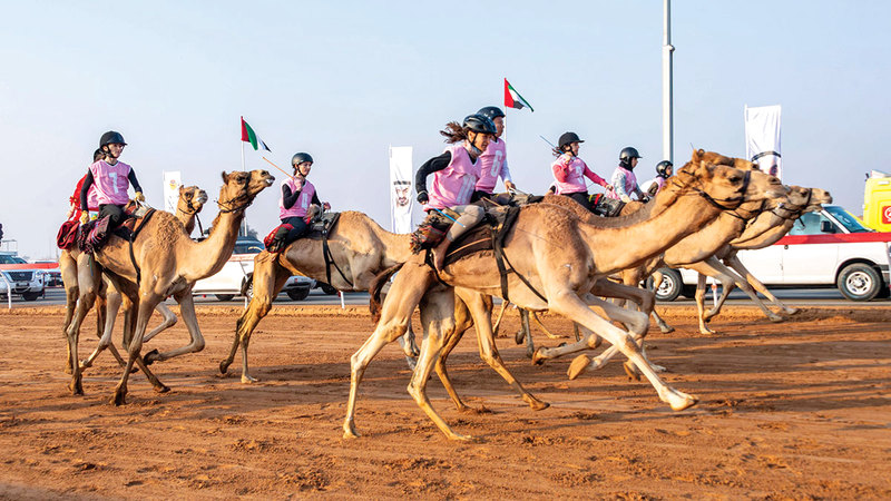 السباق امتد لمسافة كيلومترين وشهد حضور حشد كبير من عشاق ومحبي الرياضة التراثية العريقة. من المصدر