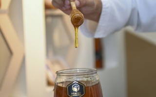 الصورة: عودة مهرجان حتا للعسل بموسمه العاشر لدعم النحالين الإماراتيين