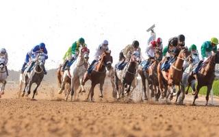 الصورة: كأس مجلس التعاون الخليجي لسباق الخيل تنطلق اليوم في الشارقة