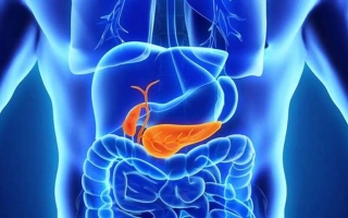 الصورة: باحثون: بكتيريا الأمعاء قد تحمي الجسم من السكري