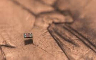 الصورة: روبوت أصغر من حبة ملح .. يمكنه التفكير والتصرف واتخاذ القرارات