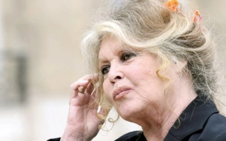 الصورة: وفاة أيقونة السينما الفرنسية بريجيت باردو عن 91 عاما