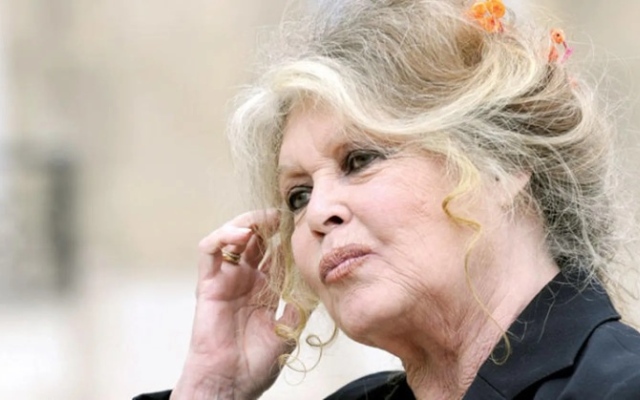 الصورة: وفاة أيقونة السينما الفرنسية بريجيت باردو عن 91 عاما