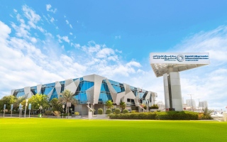 الصورة: اكتشاف مركّب من بكتيريا الأمعاء مضاد لمرض السكري