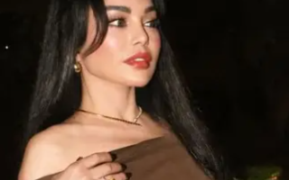 الصورة: هيفاء وهبي تغني في مصر بقرار محكمة