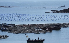 الصورة: لليوم الثاني على التوالي.. الصين تجري مناورات عسكرية حول تايوان