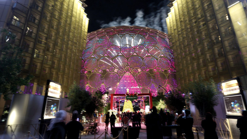 تصوير: سالم خميس