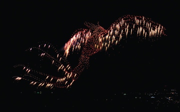 الصورة: احتفالات رأس الخيمة تدخل &laquo;غينيس&raquo; بطائر العنقاء &nbsp;&nbsp;