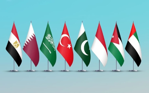 الصورة: بيان مشترك لوزراء خارجية الإمارات، والأردن، وإندونيسيا، وباكستان، وتركيا، والسعودية، وقطر، ومصر