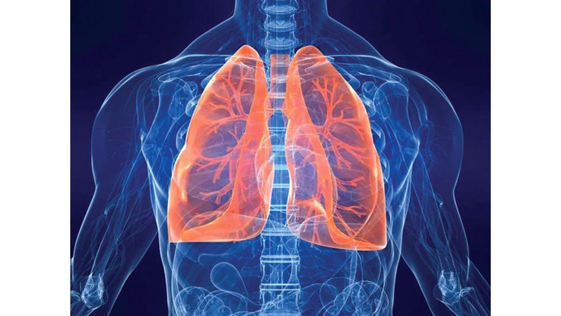 علماء يبتكرون رئة بشرية مصغرة تختبر الأدوية بدقة