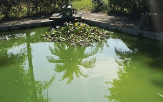 الصورة: تطوير نظام ذكاء اصطناعي لمراقبة جودة المياه والتغير المناخي