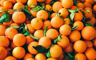 الصورة: أعراض نقص فيتامين C.. وكيفية تلبية احتياج الجسم