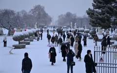 الصورة: الثلوج تعطل النقل والسفر في بريطانيا وفرنسا وهولندا