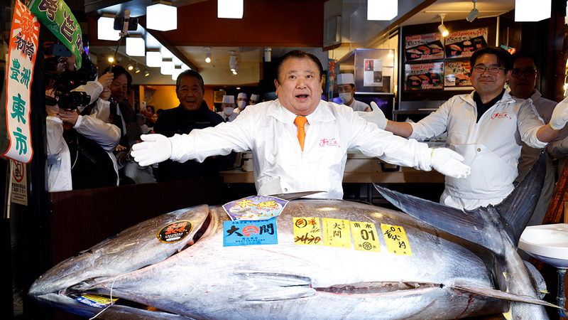 بيع سمكة تونة بمبلغ خرافي.. والمشتري «الملك»