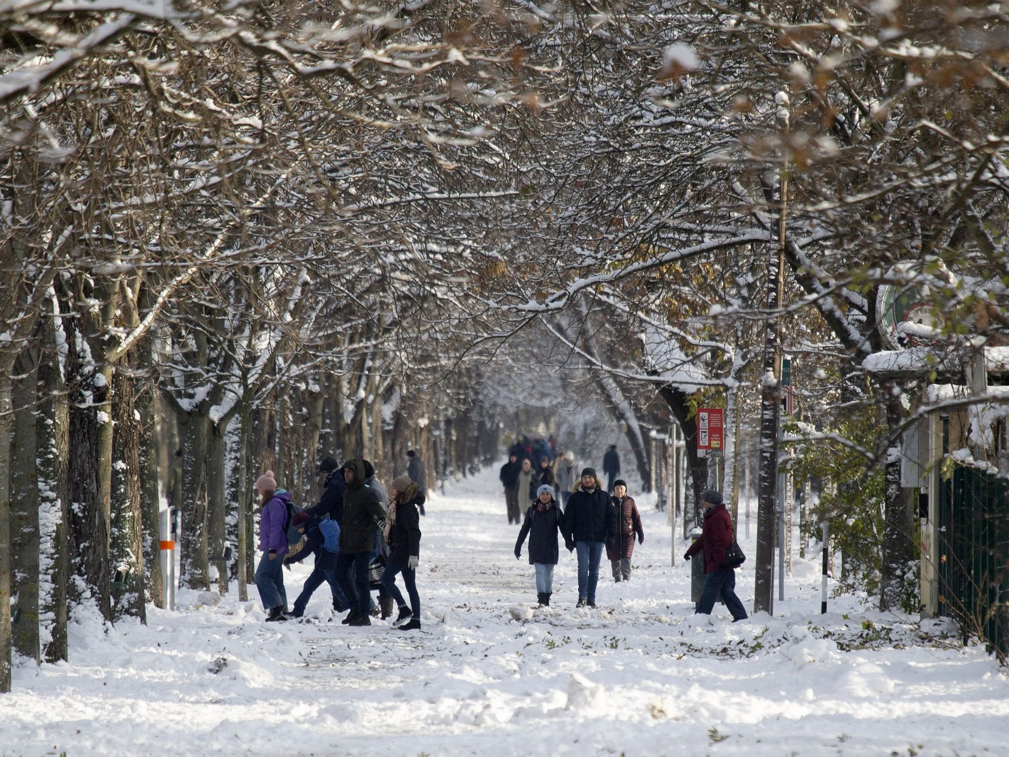 الثلوج وانخفاض الحرارة تشلان الحياة اليومية في النمسا ودول أوروبية