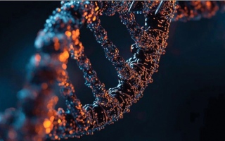 الصورة: 6 حلول نوعية لتحديات العلاجات الجينية.. تتضمن خفض التكاليف والتصنيع المحلي