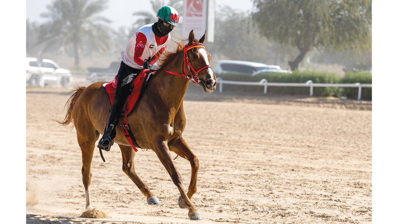 خلال اللحظات الأخيرة من السباق. تصوير: دينيس مالاري