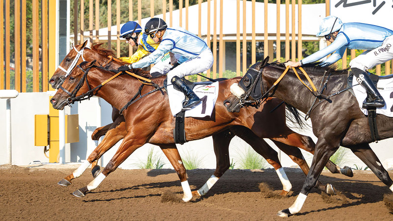 91 خيلاً تنافس على ألقاب السباق السادس في موسم مضمار «جبل علي»