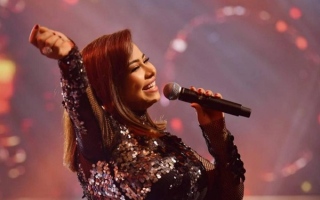 الصورة: نقيب المهن التمثيلية يكشف سبب اختفاء الفنانة شيرين