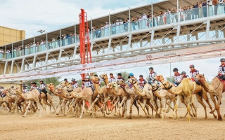 الصورة: على ظهر &laquo;جمر&raquo;.. محمد إبراهيم يفوز بماراثون اليوم الوطني للهجن