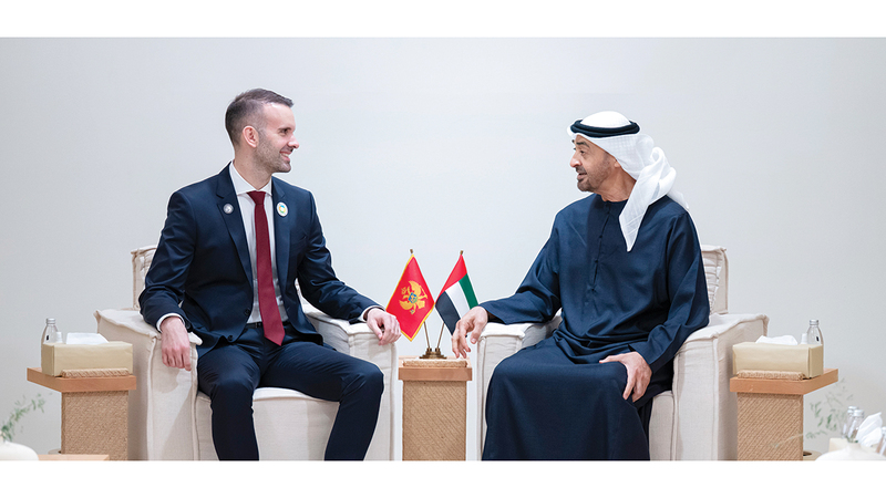 رئيس الدولة خلال لقائه رئيس وزراء مونتينيغرو. وام