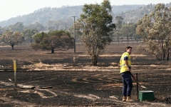 الصورة: حرائق أستراليا تُدمر 300 ألف هكتار من الغابات