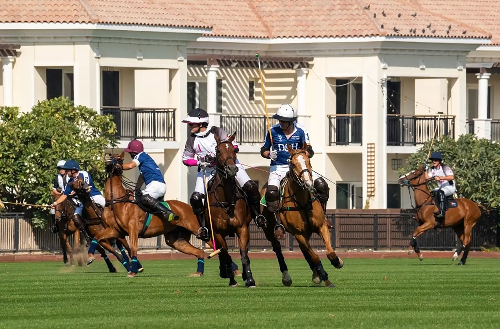 فوز «الإمارات» و«ذئاب دبي» بكأس دبي الفضية للبولو