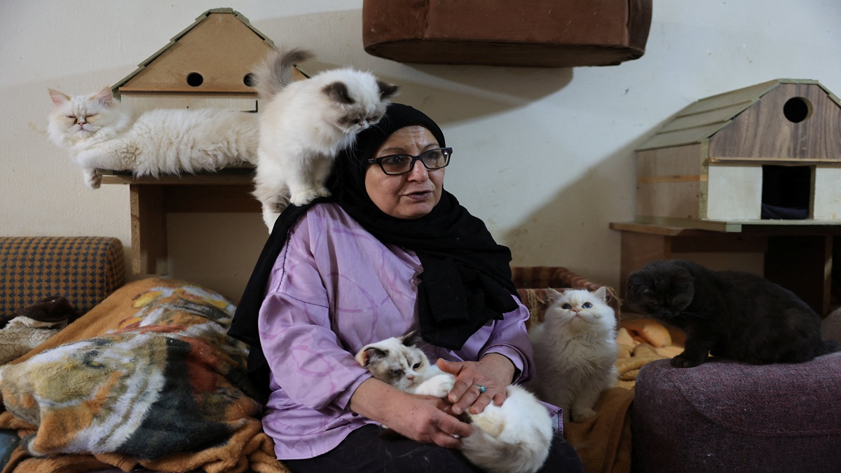 ديانا عبادي أمضت 12 عاماً حتى الآن في إنقاذ القطط. رويترز