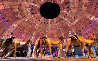 موسم المودة.. «الأصايل» تتمايل تحت قبة الوصل