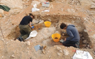 “منحة الفاية” تساهم في تعزيز المعرفة العالمية