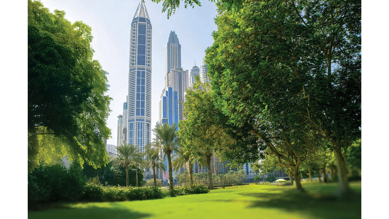 حدائق الإمارات تستقطب أصحاب المشروعات الناشئة الصغيرة والمتوسطة. من المصدر