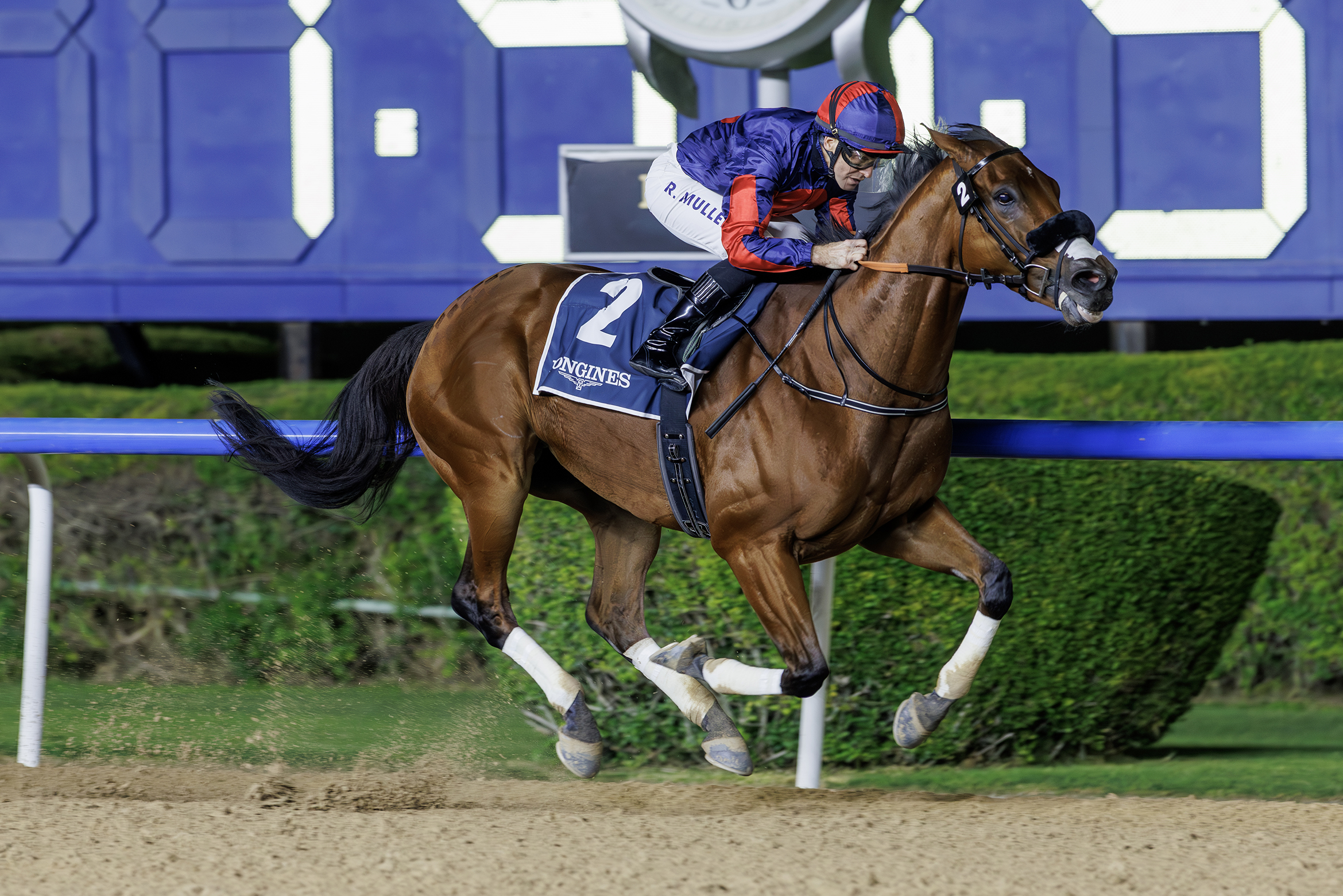 «أمبريال إمبيرور» بطلاً لـ «تحدي آل مكتوم» في أمسية «فاشن فرايداي»