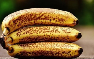 الصورة: عندما يتغير لون الموز من الأصفر إلى البني.. لهذه الأسباب تجنبوا الناضج جداً