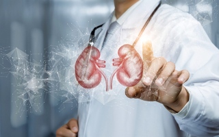 الصورة: أسباب حصوات الكلى.. والأعراض المصاحبة لها