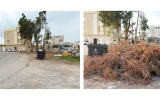 الصورة: استجابة