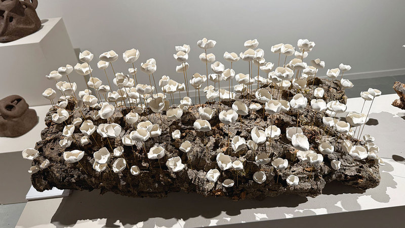 التجارب المشاركة تتنوع بين النحت والأعمال التركيبية إلى جانب الأواني التقليدية. الإمارات اليوم