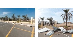 الصورة: استجابة