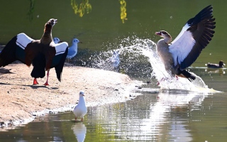 لحظة نابضة بالحياة