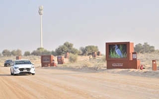 الصورة: &laquo;المرموم&raquo; تبوح بأسرارها عبر 24 صورة توثق &laquo;حياة البرية&raquo;