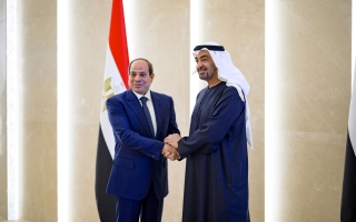 الصورة: استقبله رئيس الدولة.. الرئيس المصري يصل البلاد